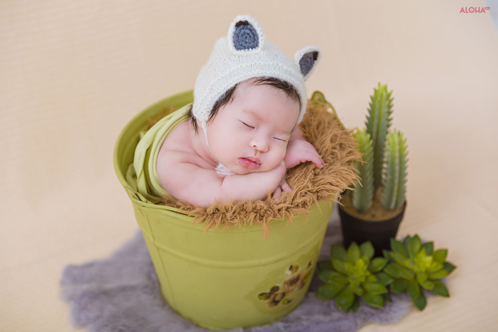 Album ảnh newborn 5